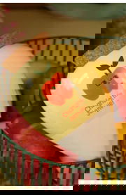 Tuin Accessoire Hydrating Olla Hot Dog