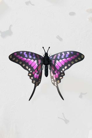 Accessoire De Maison 3D Puzzle Small Common Swordtail