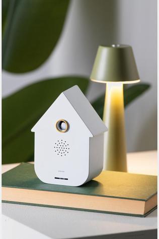 Huis Accessoire Sound Box Modern Cuckoo White