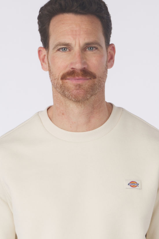 Dickies Pull Oakport Whitecap Gray