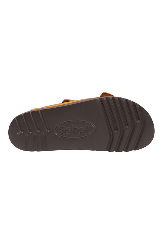 Scholl Tongs Beatriz Cognac