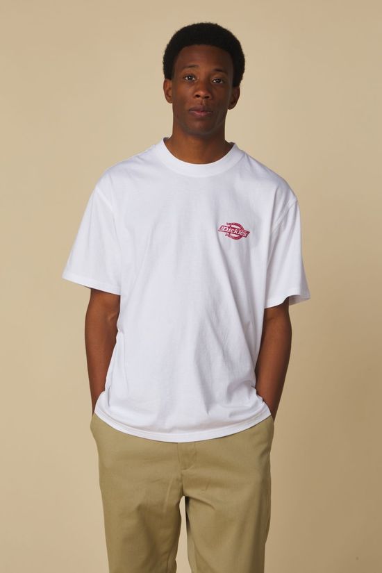 Dickies T-Shirt Chinle White