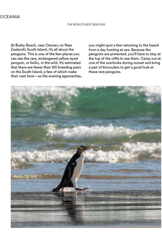 Lannoo Livre Beaches The World'S Best 2025