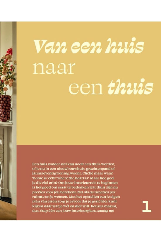 Lannoo Boek Het All-In Interieurplan 2025