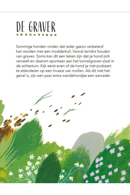 BBNC 60 dingen die je moet weten over je hond 2024