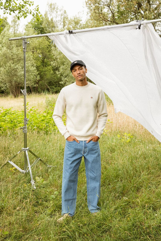Dickies Pull Oakport Whitecap Gray
