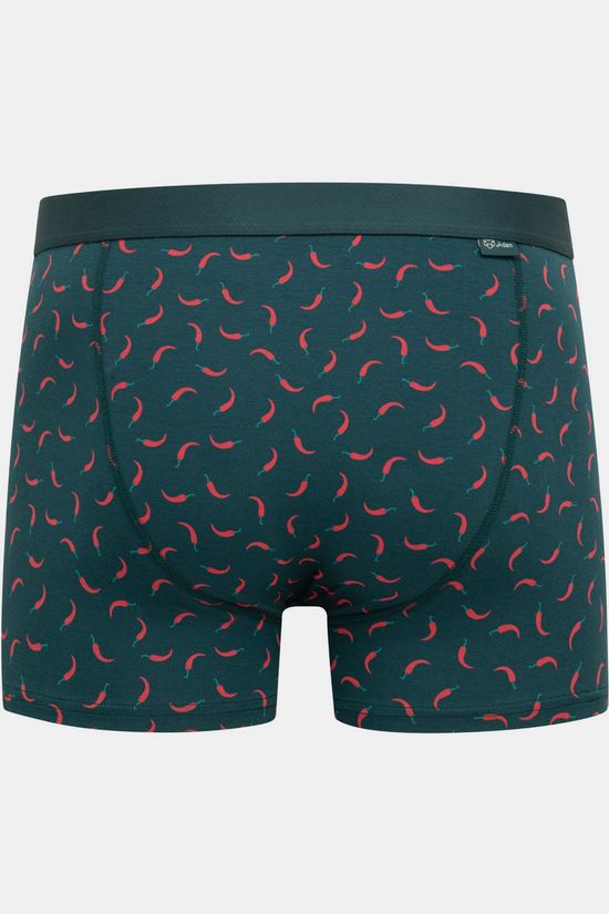 A-Dam Boxershort Boxer Brief Rik Black Green