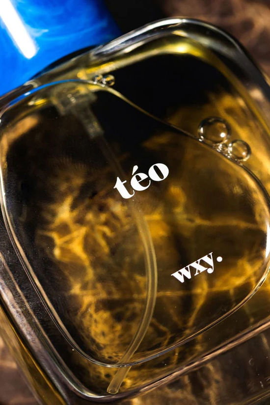 WXY Parfum Eau De Parfum 50Ml Teo Geen