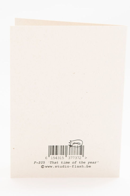 STUDIO FLASH Accessoire De Noël F-Z05 ‘That Time Of The Year’ Geen