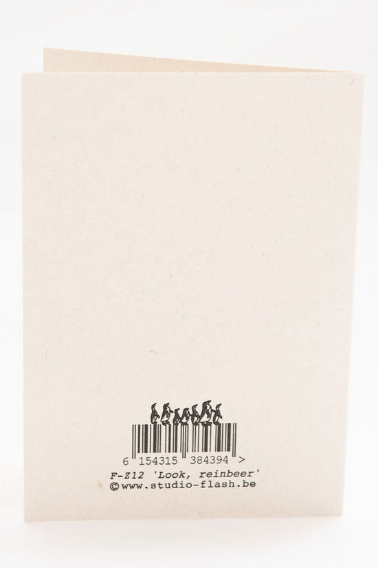 STUDIO FLASH Kerst Accessoire F-Z12 ‘Look, Reinbeer’ Geen