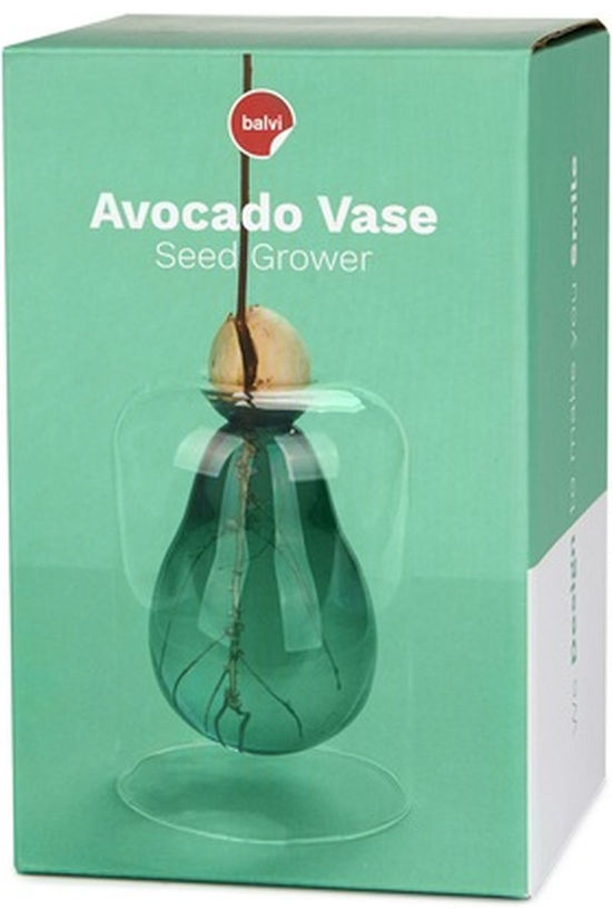 Balvi Accessoire De Jardin Vase Avocado Green Glass Green