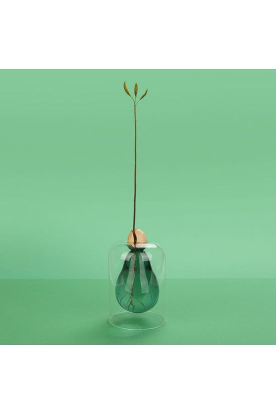 Balvi Accessoire De Jardin Vase Avocado Green Glass Green