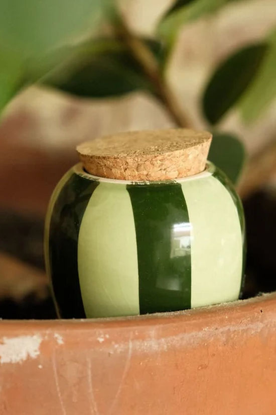 PEPIN Tuin Accessoire Hydrating Olla waterdruppelaar Striped Green & Green