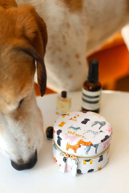 All the ways to say Home Organiser Dogs Jewellery Box Geen