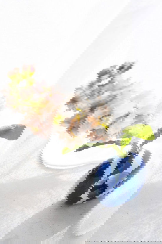 QUÉ RICO Vaas Small Wavy Rumba Wavy Rumba