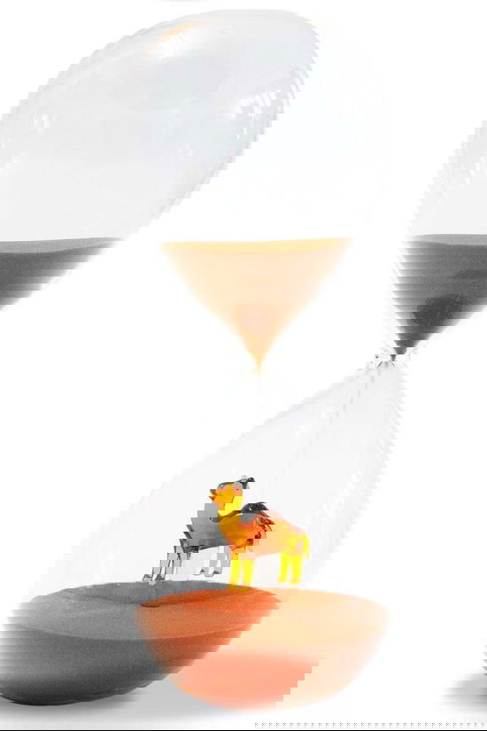 WD Lifestyle Accessoire De Maison Borosilicate Glass Hourglass. Internal Glass Figur Geen