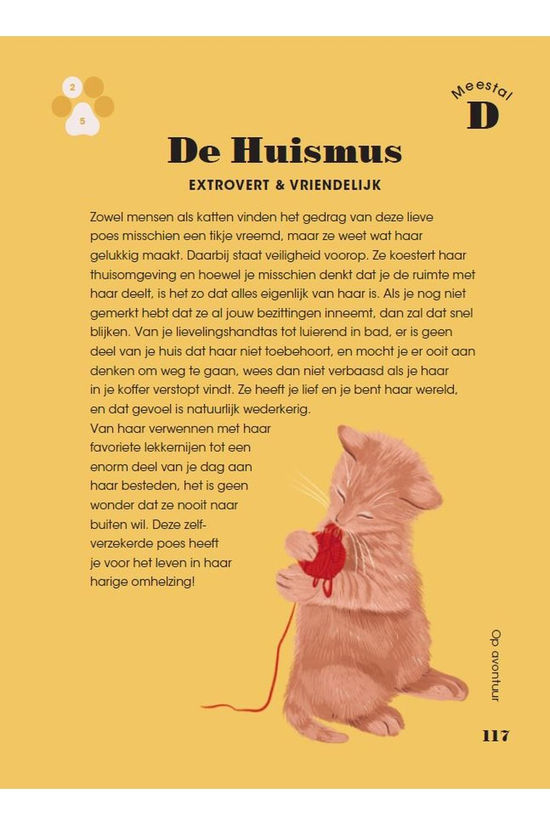 BBNC Uitgevers Kat purrsoonlijkheidstest 2022