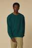Dickies Pull Sutcliffe Dark Green