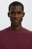 Selected T-Shirt Looseoscar Tawny Port
