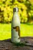 WD Lifestyle Drinkfles Stainless Steel Insulated Bottle. 500 Ml. Dog Desi None