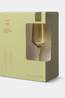 Here's How Vaisselle The Luna Champagne Flutes - Set Of 2 - Olive Olive Green