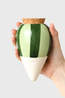PEPIN Tuin Accessoire Hydrating Olla waterdruppelaar Striped Green & Green