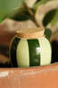 PEPIN Tuin Accessoire Hydrating Olla waterdruppelaar Striped Green & Green